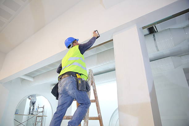 Best Drywall Texturing  in Green Oaks, IL